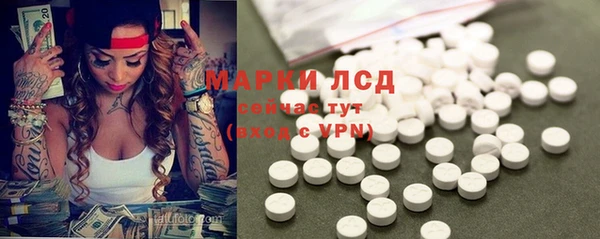эйфоретик Алзамай