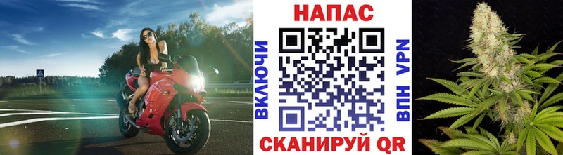 даркнет сайт  Камешково  Каннабис гибрид 